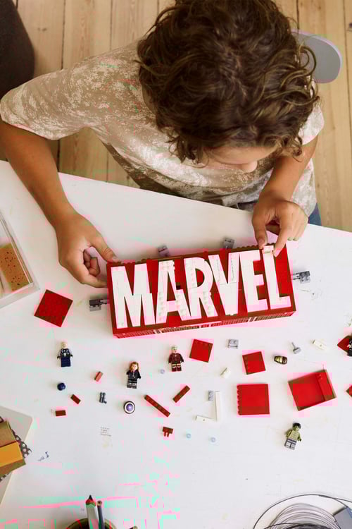 LEGO Jeu Multicolore