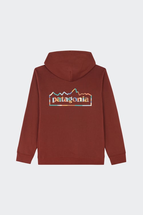PATAGONIA Hoodie Marron