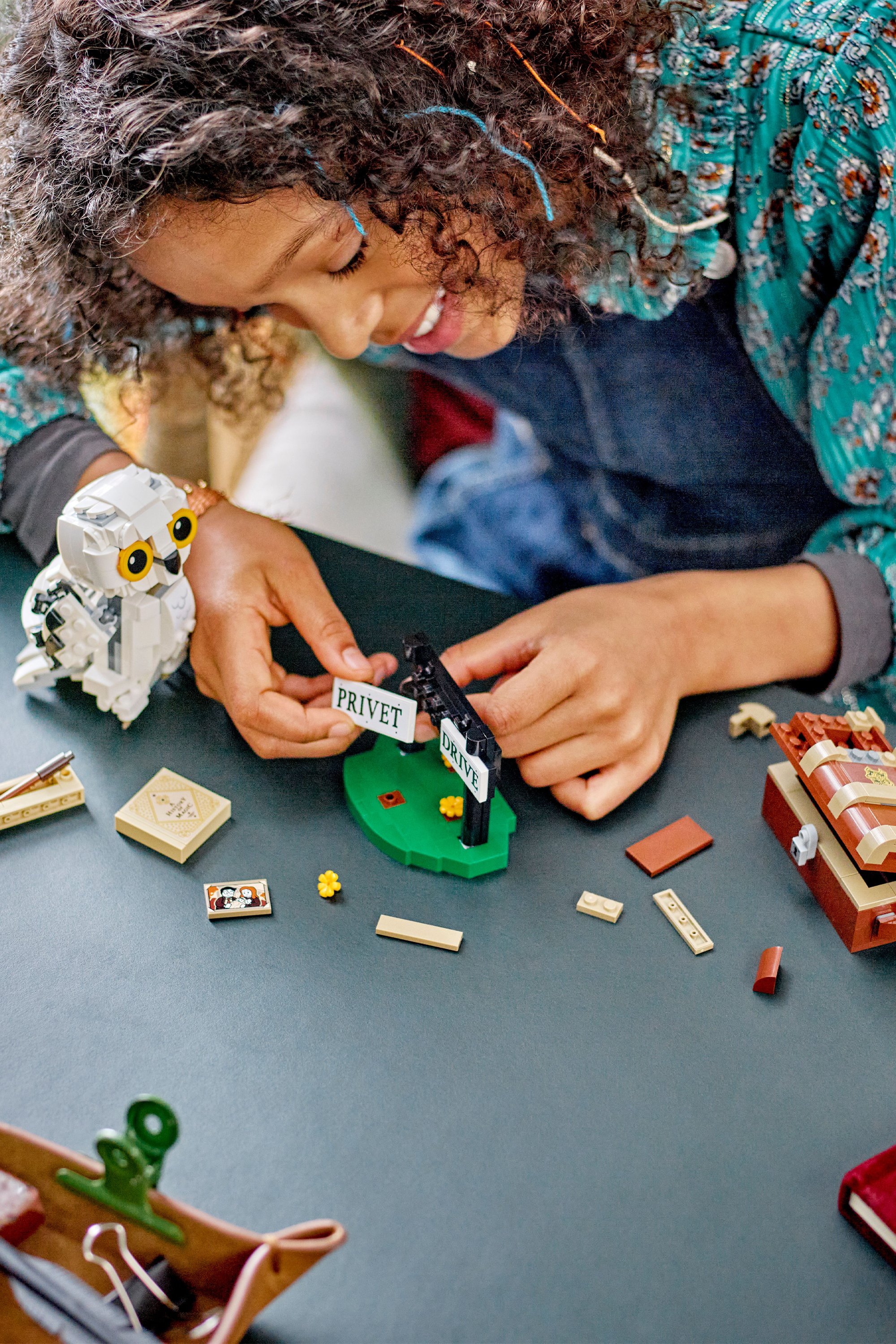 The Mona Lisa Multicolored