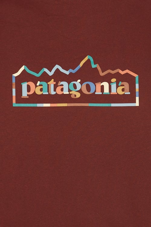 PATAGONIA Hoodie Marron