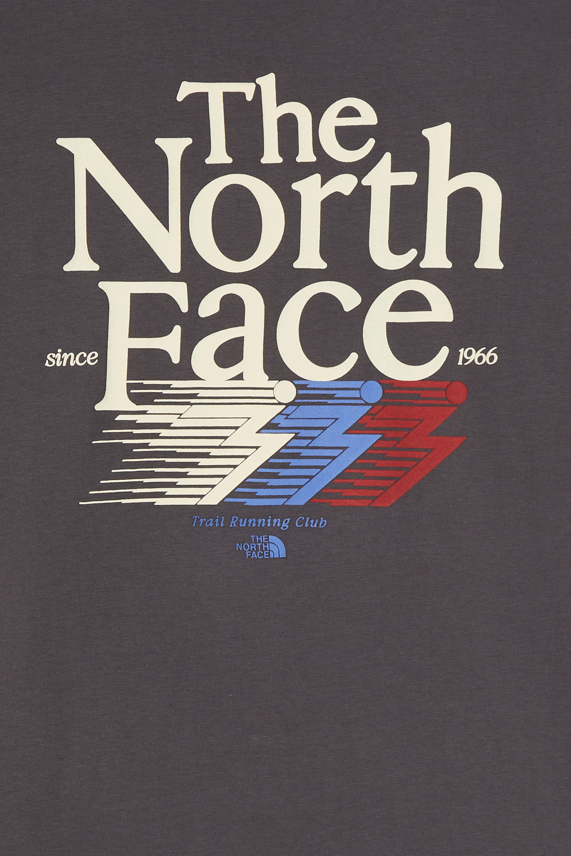 T-shirt | Gris THE NORTH FACE Homme