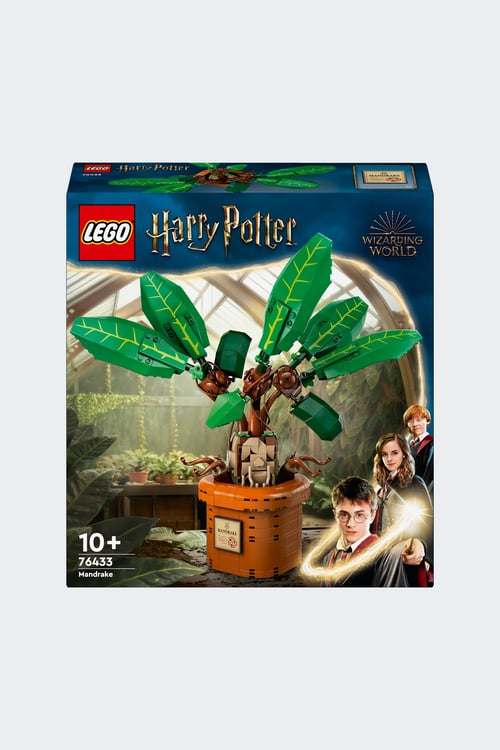 LEGO Jeu Multicolore