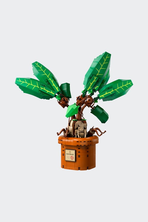 LEGO Jeu Multicolore