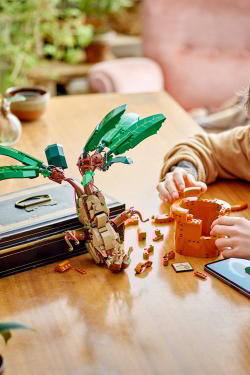 LEGO Jeu Multicolore