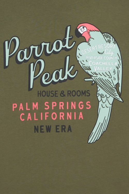 NEW ERA T-shirt Vert