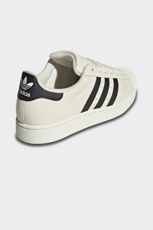 ADIDAS Baskets Blanc