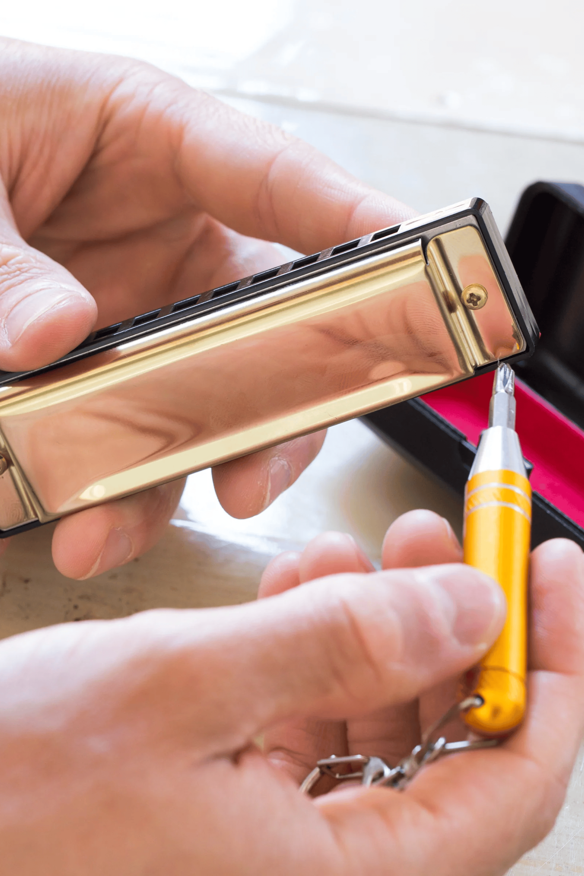 Kit de fabrication d'harmonica Multicolore