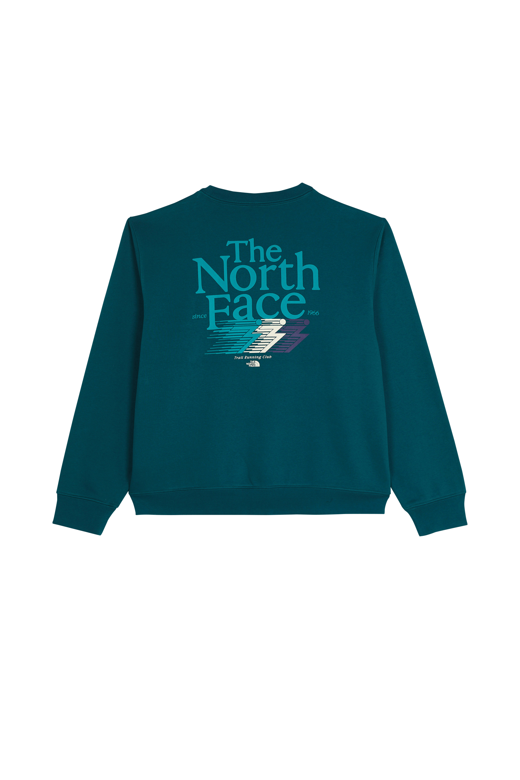 Sweater THE NORTH FACE Green