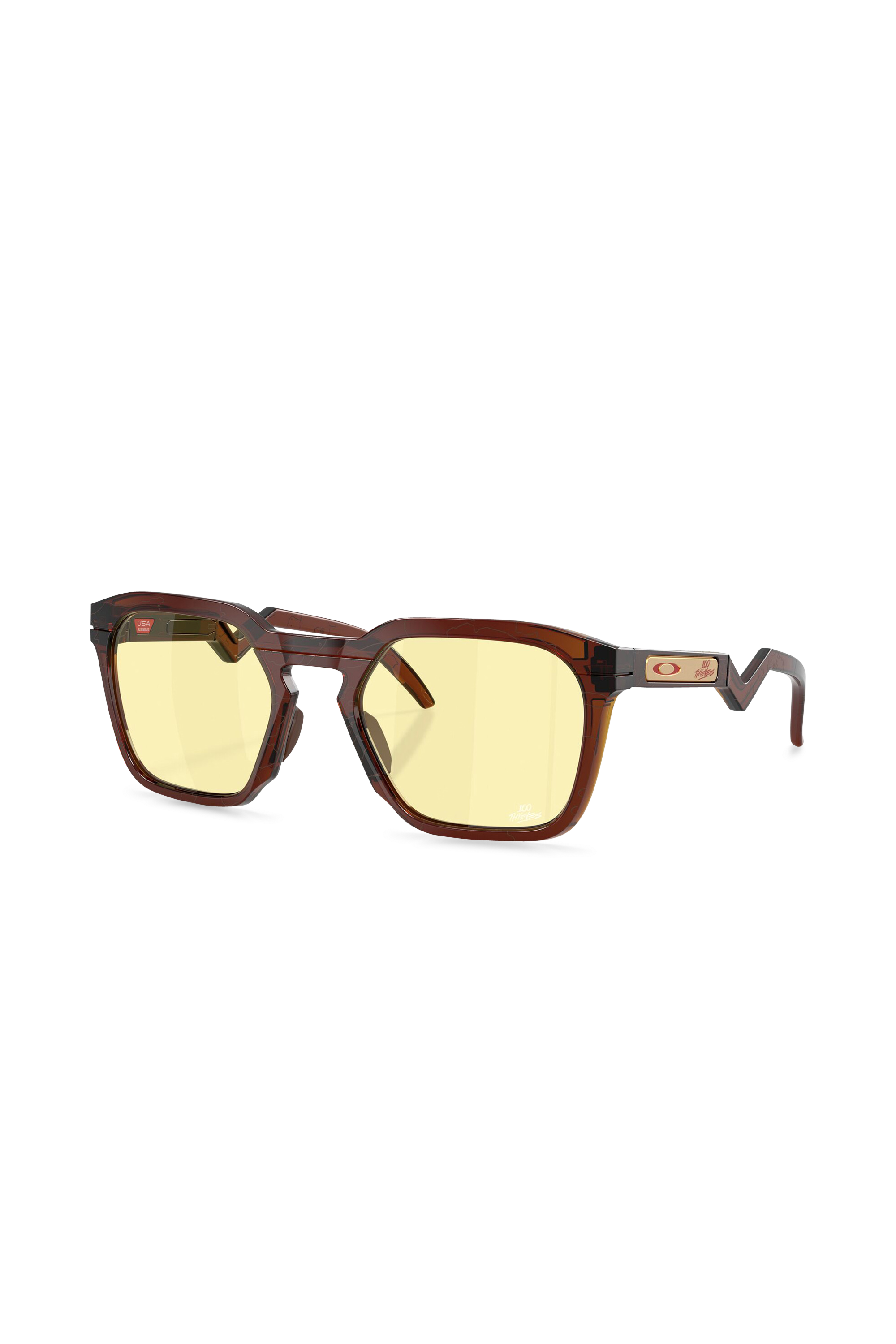 Alumni sunglasses | Brown OAKLEY Men