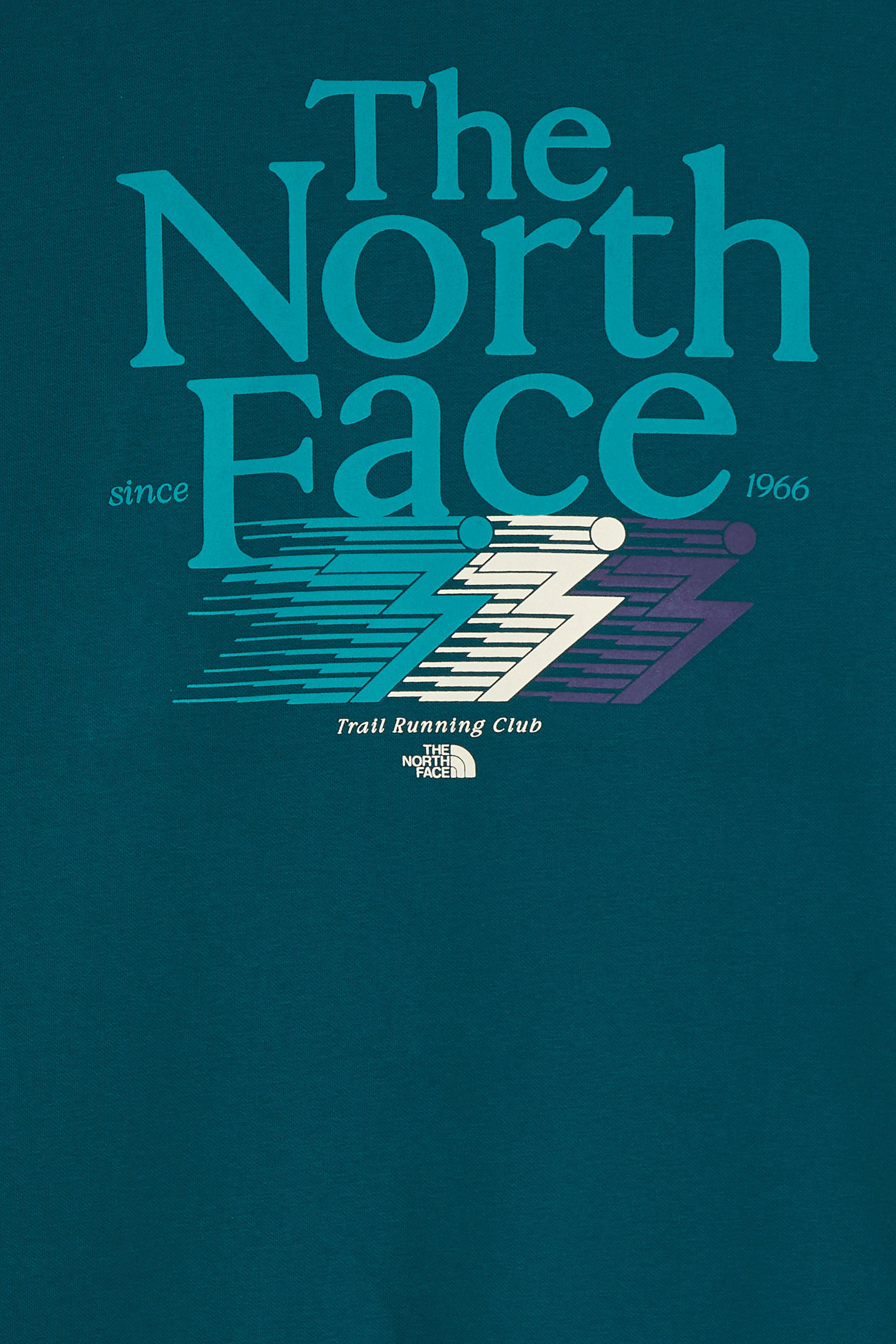 Sweater | Green THE NORTH FACE Men
