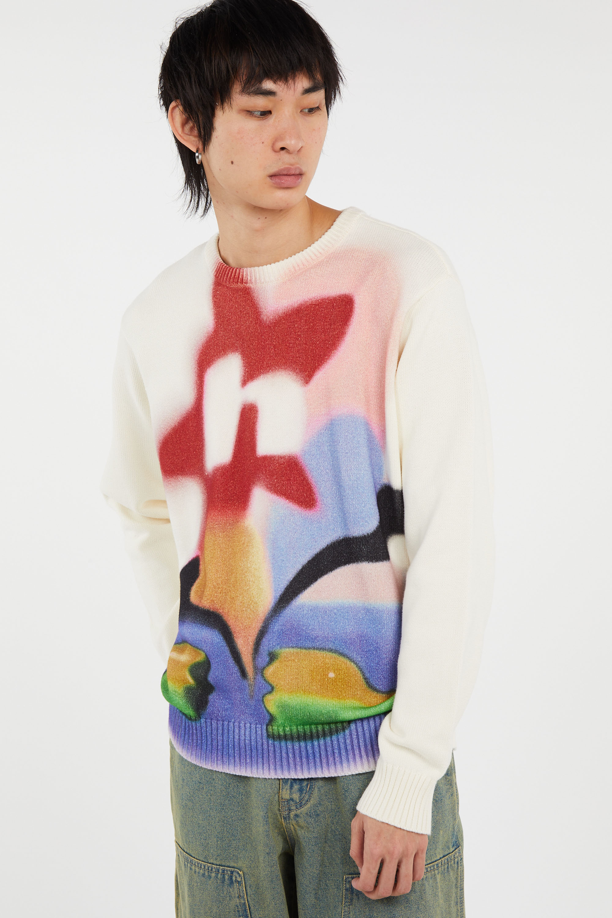 Pull Multicolore