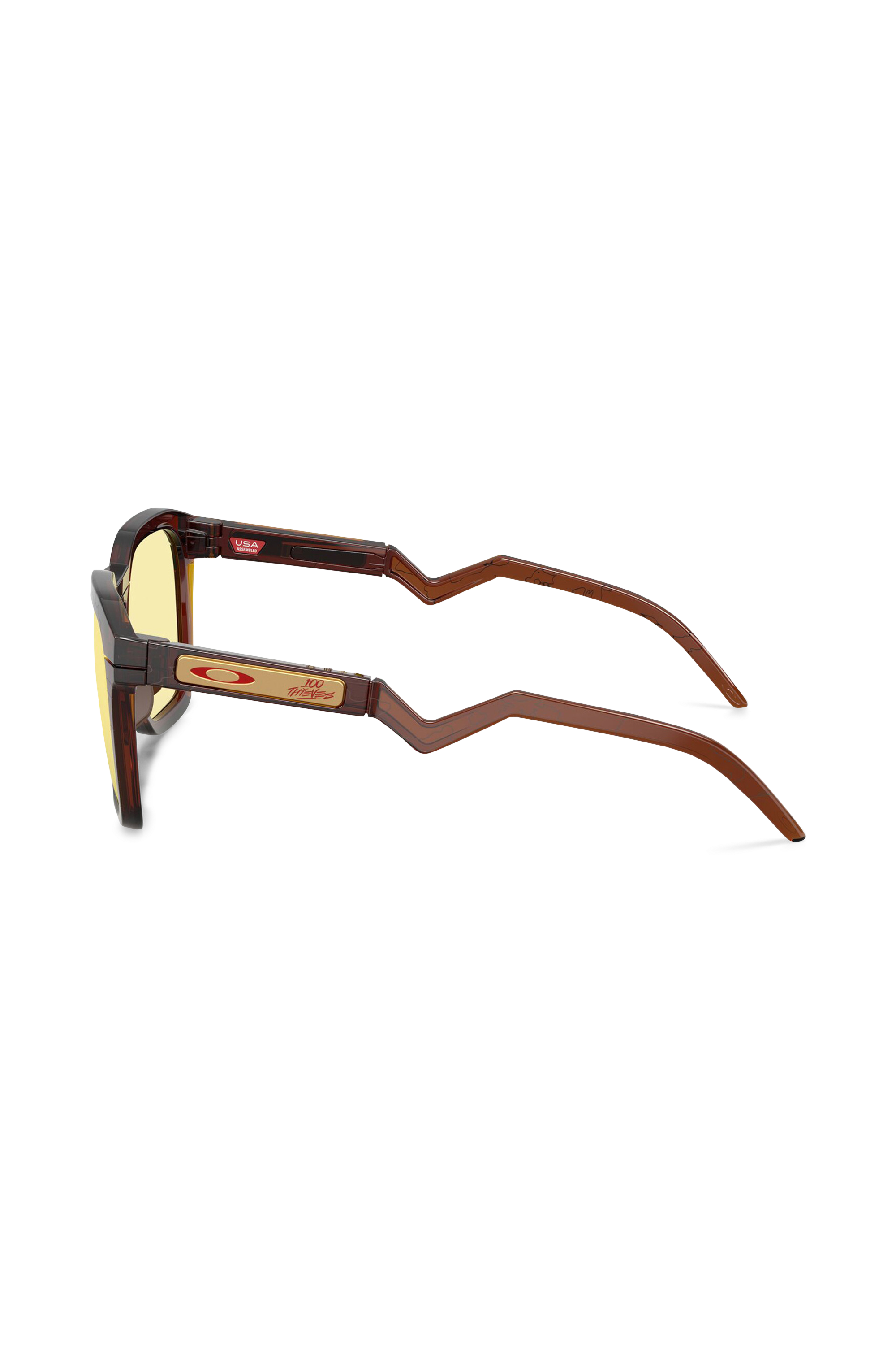 Alumni sunglasses | Brown OAKLEY Men