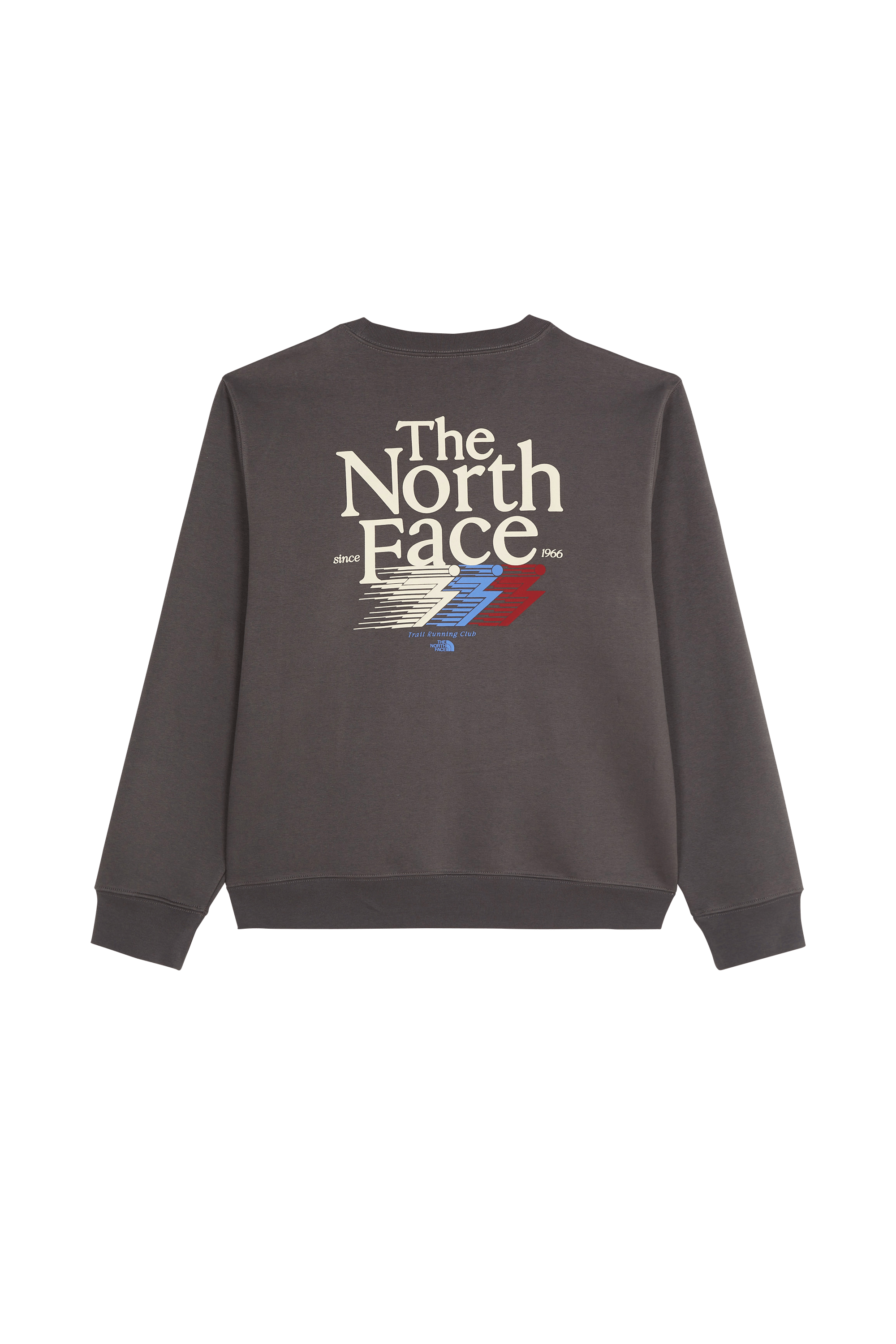 Sweater THE NORTH FACE Grey