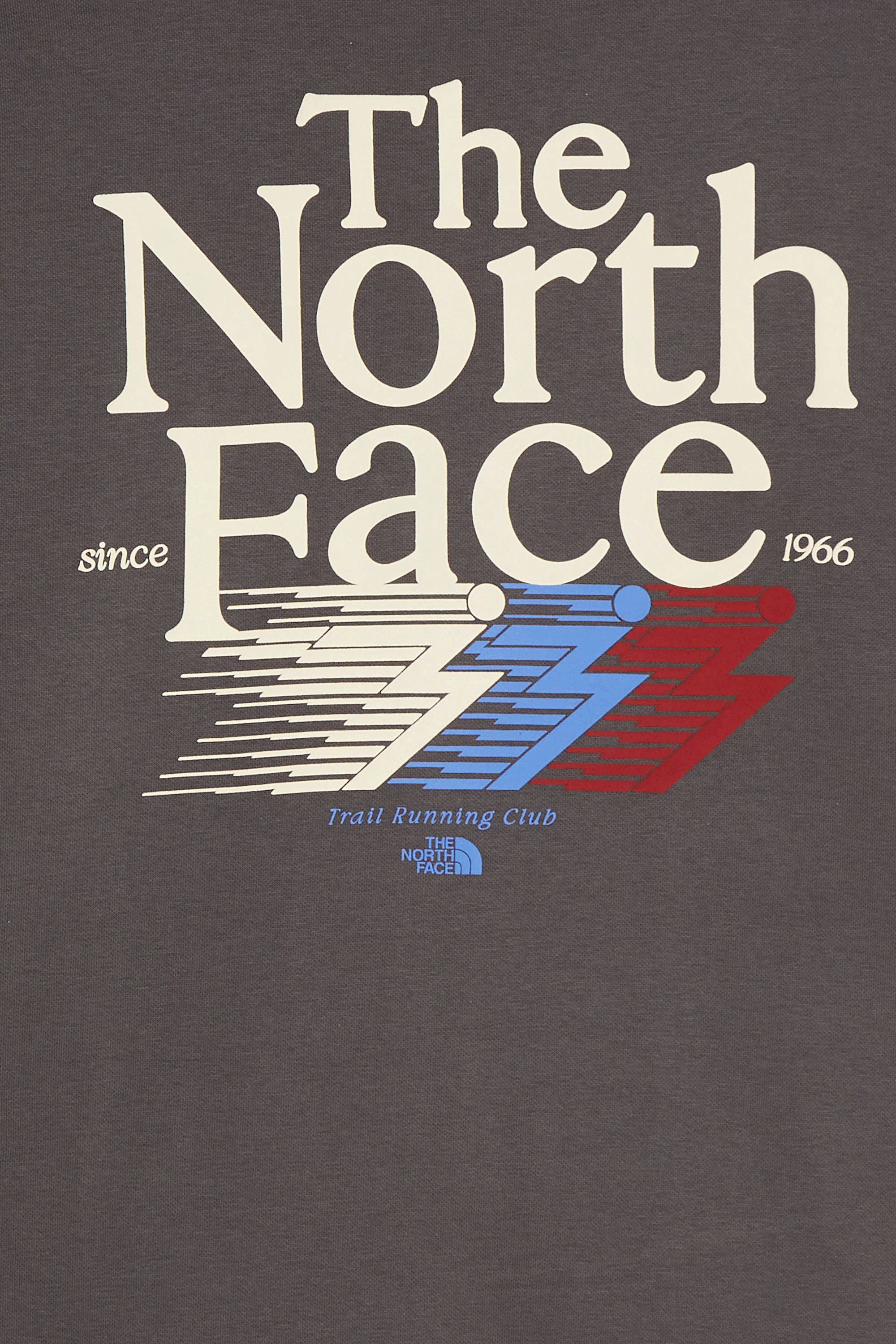 Sweater | Grey THE NORTH FACE Men