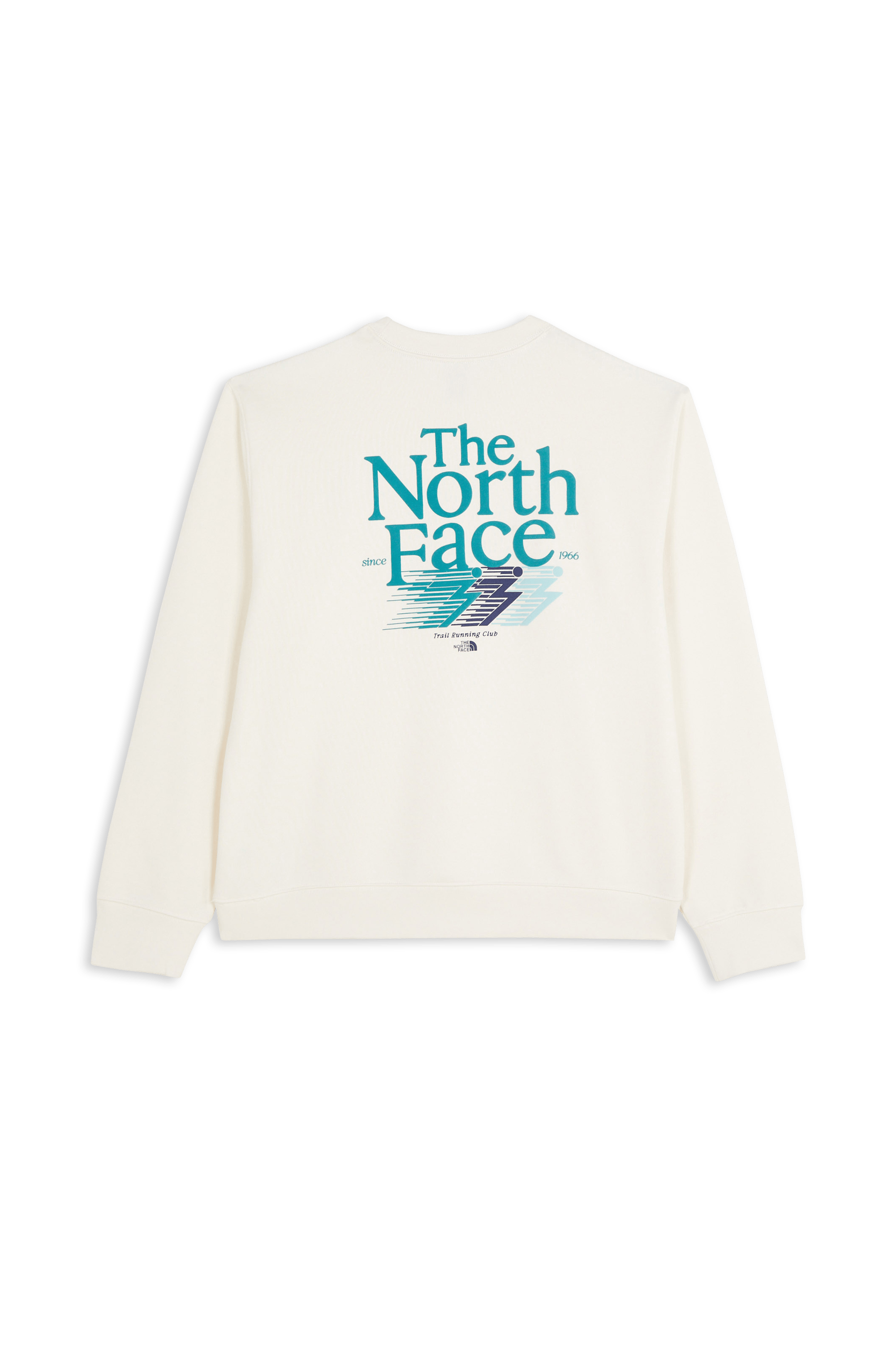 Sweater THE NORTH FACE Beige