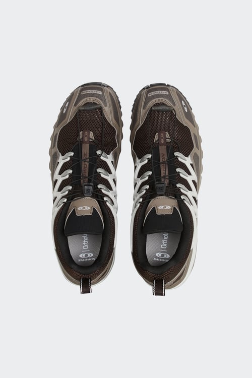 SALOMON Adidas Superstar sneakers Brown