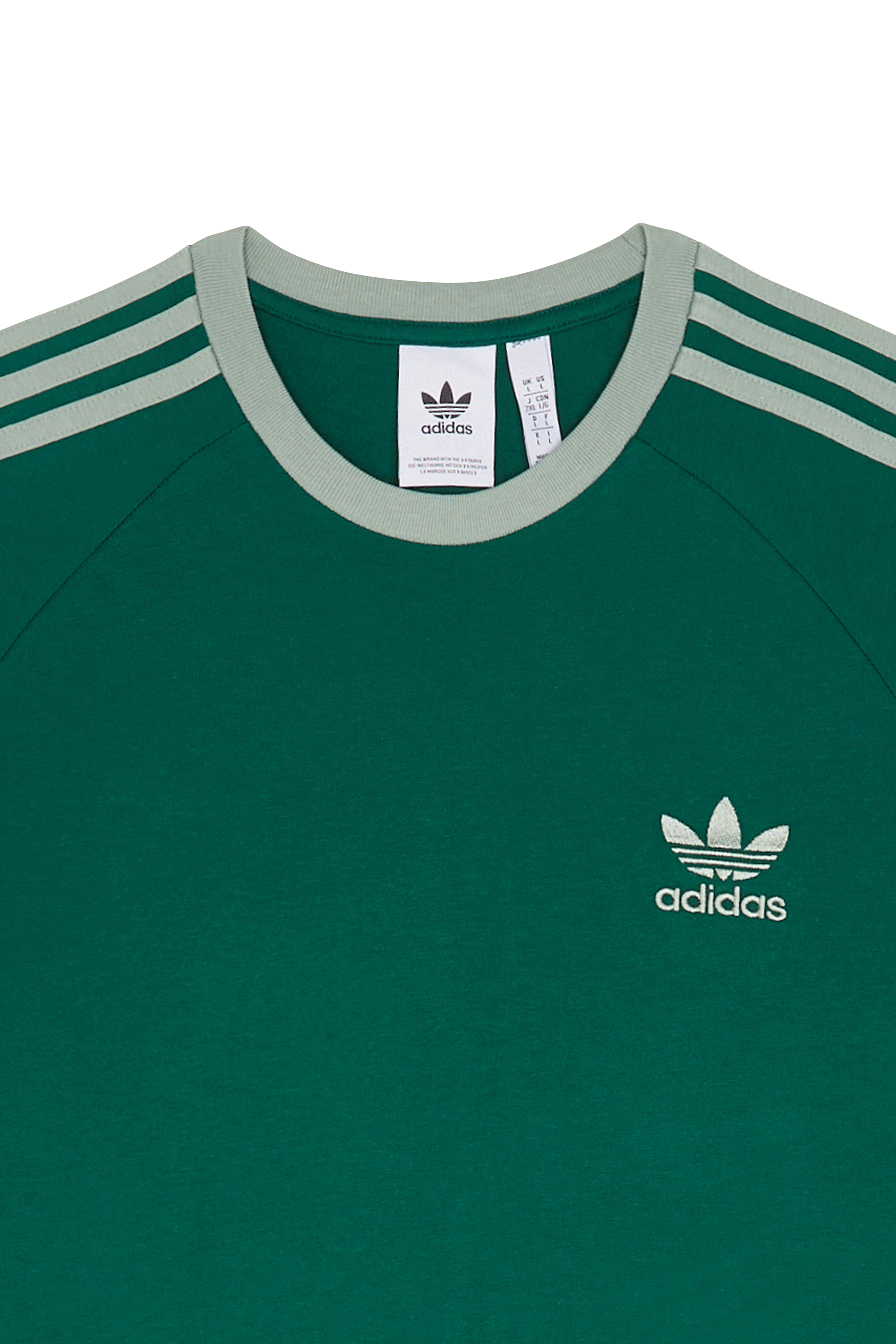 Regular-fit round-neck cotton T-shirt Green