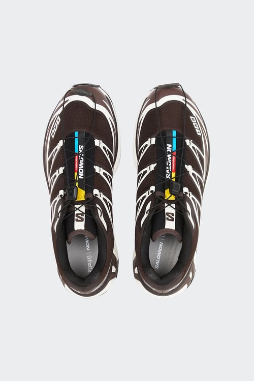 SALOMON Adidas Superstar sneakers Brown