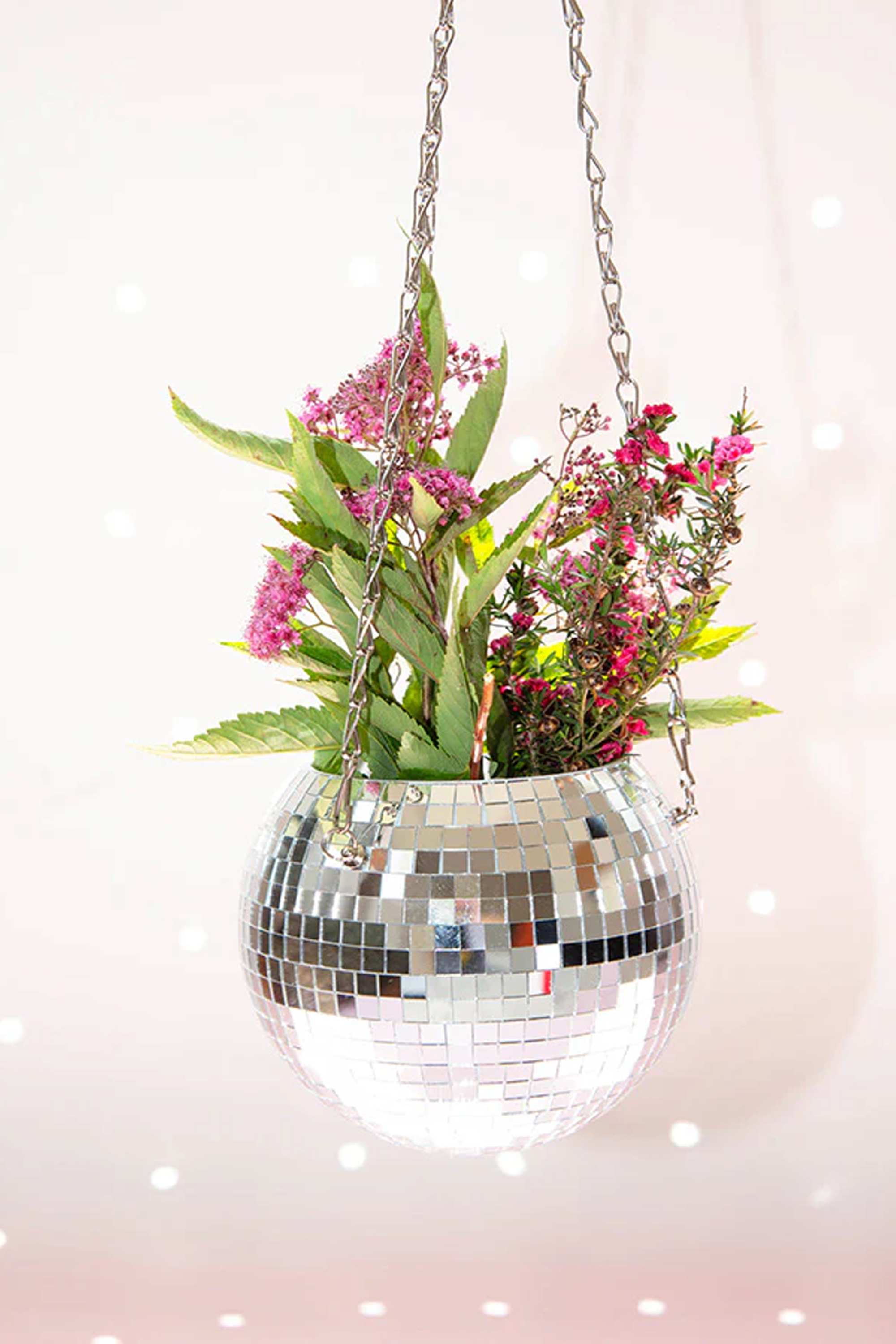 Plant pot Multicolored