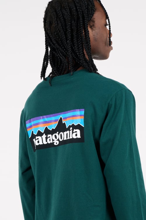 PATAGONIA T-shirt Vert