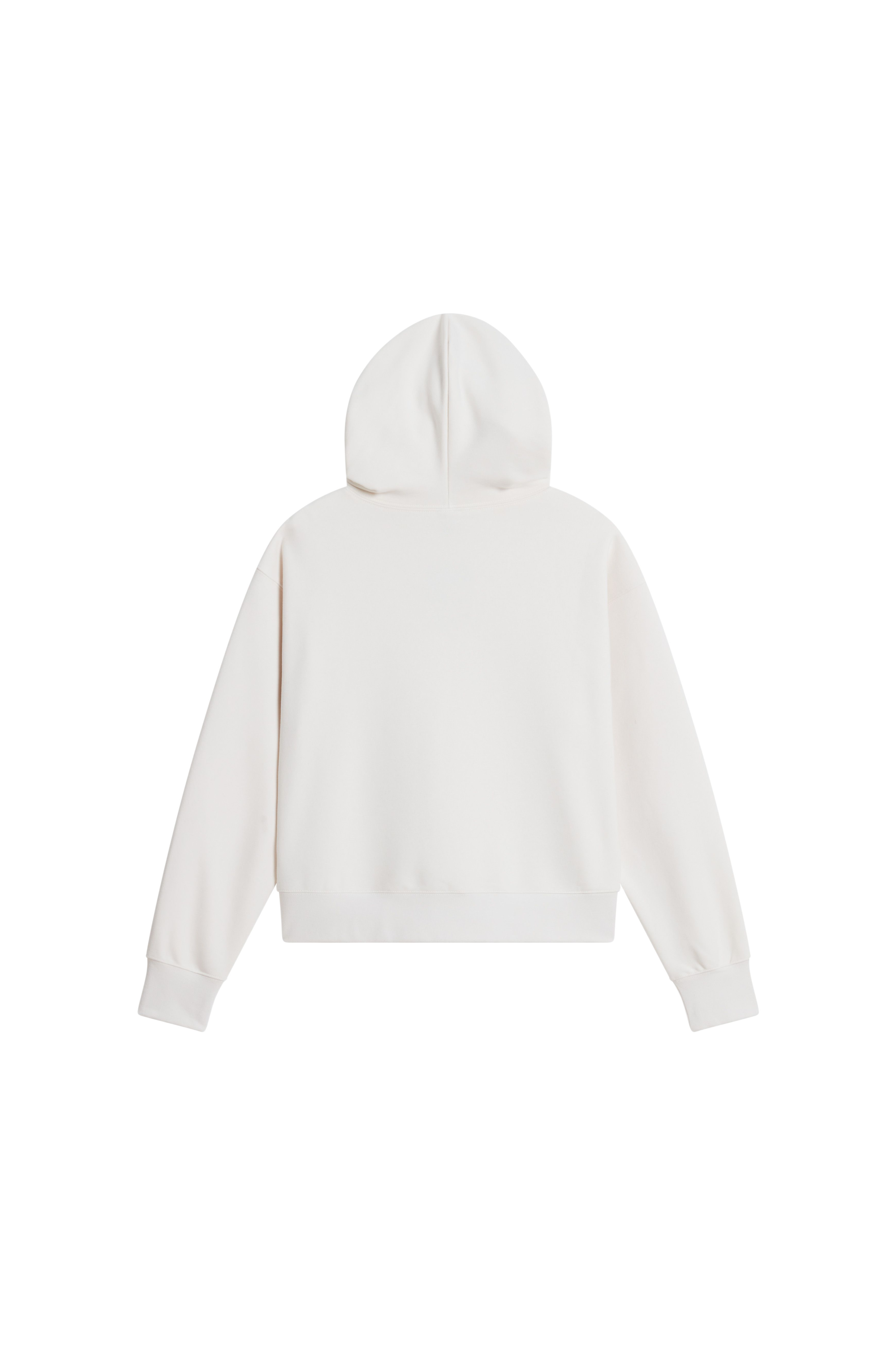 Hoodie | Beige THE NORTH FACE Homme
