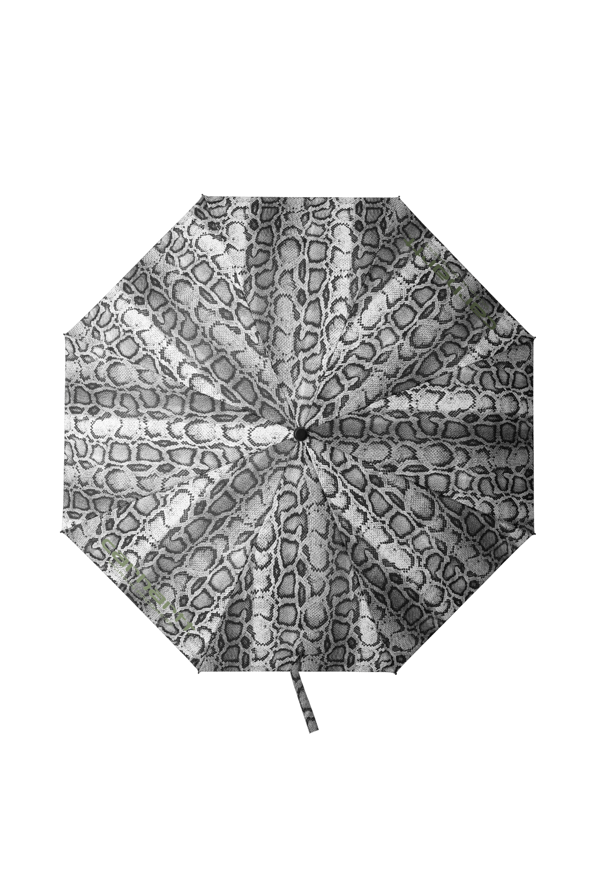 Umbrella CARHARTT WIP Multicolored