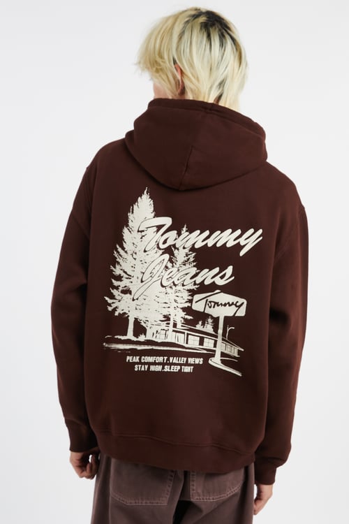 TOMMY JEANS Hoodie Brown