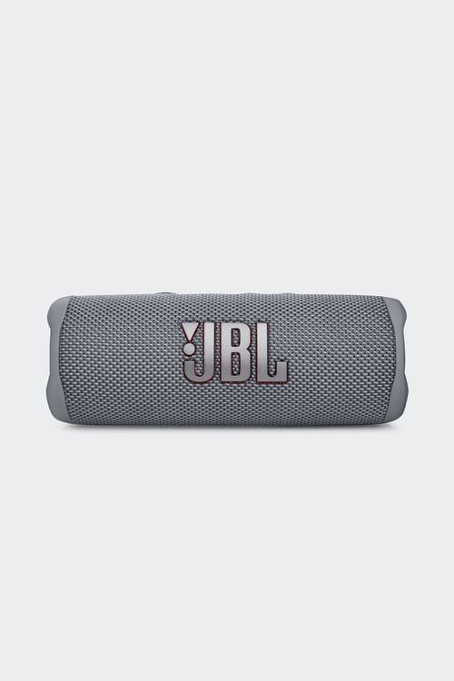 JBL Enceinte Gris
