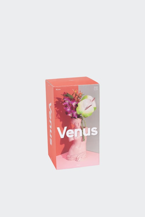 DOIY Vase Rose