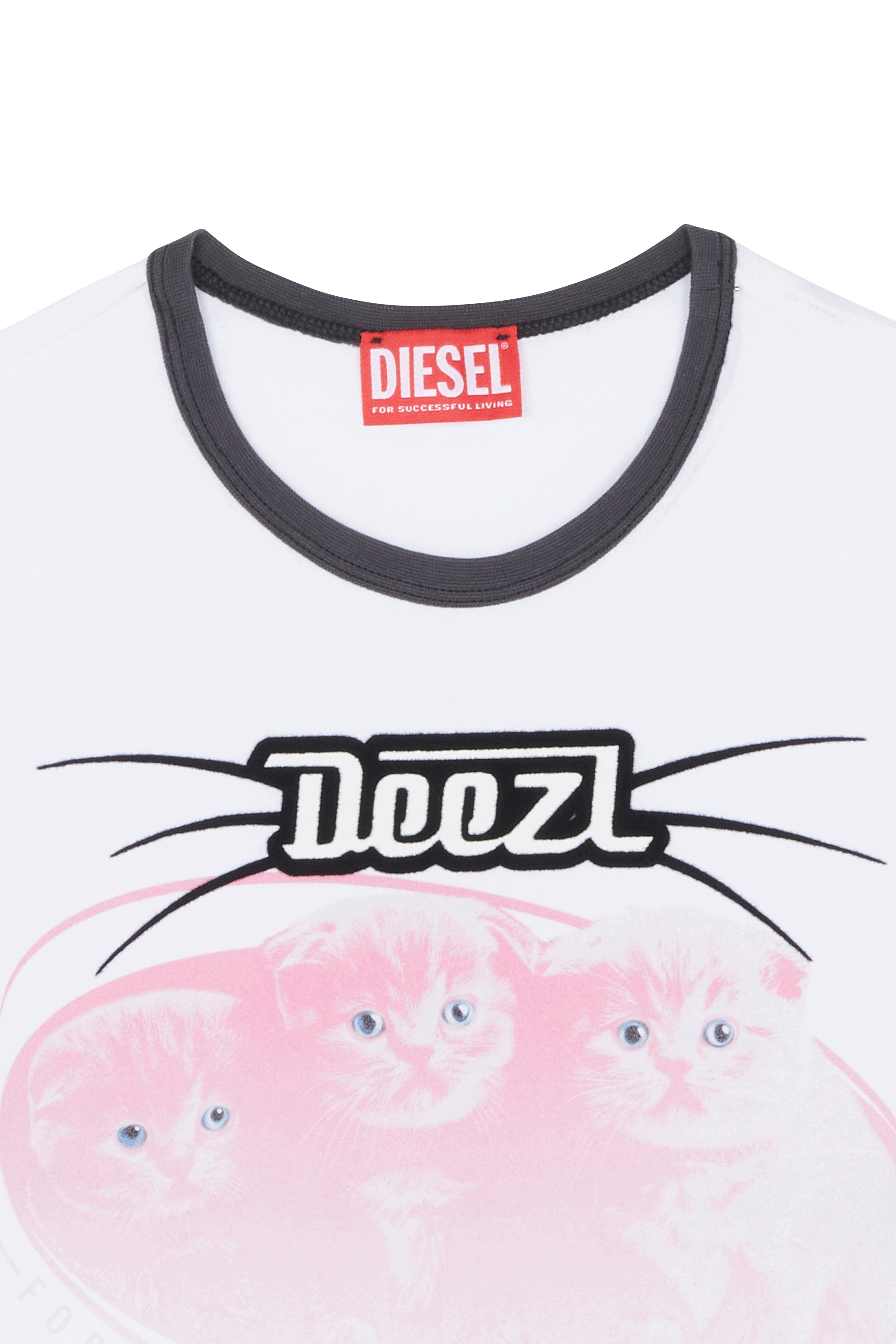 Regular-fit round-neck cotton T-shirt White