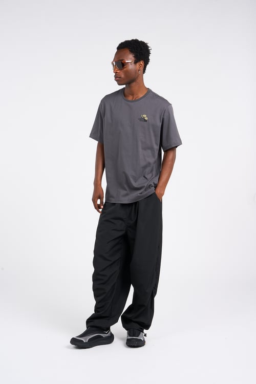 THE NORTH FACE T-shirt Gris