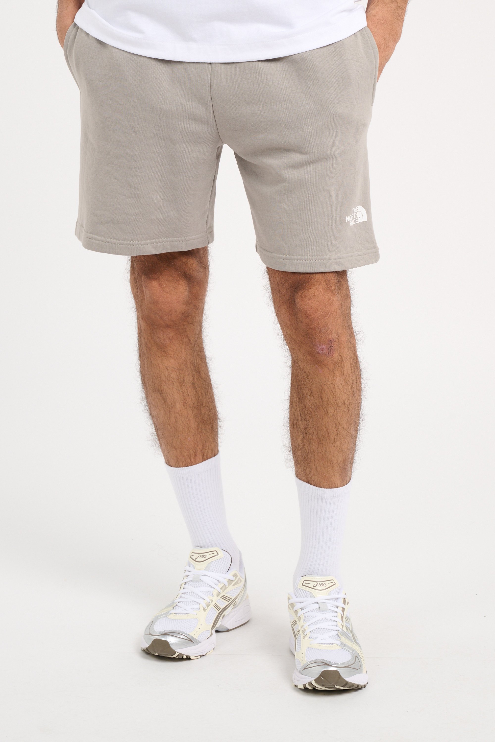 Short | Gris THE NORTH FACE Homme