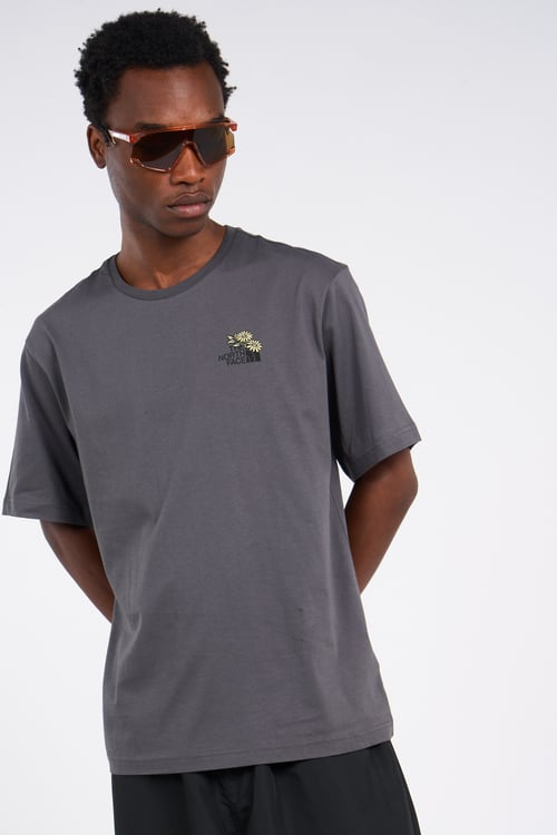 THE NORTH FACE T-shirt Gris