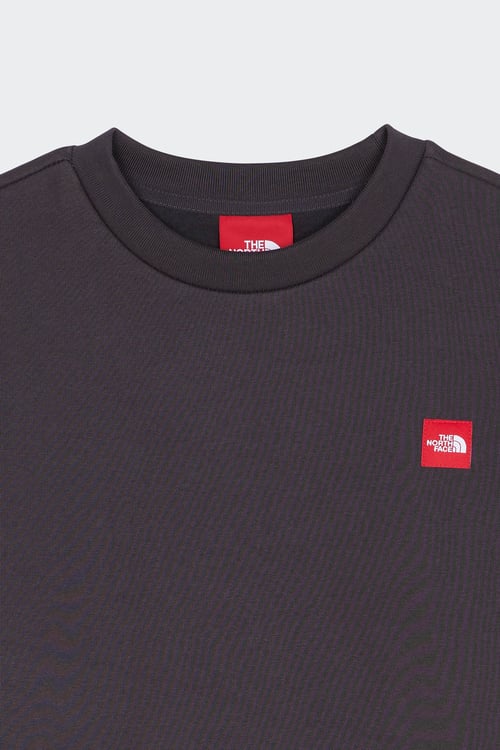 THE NORTH FACE Sweatshirt Gris