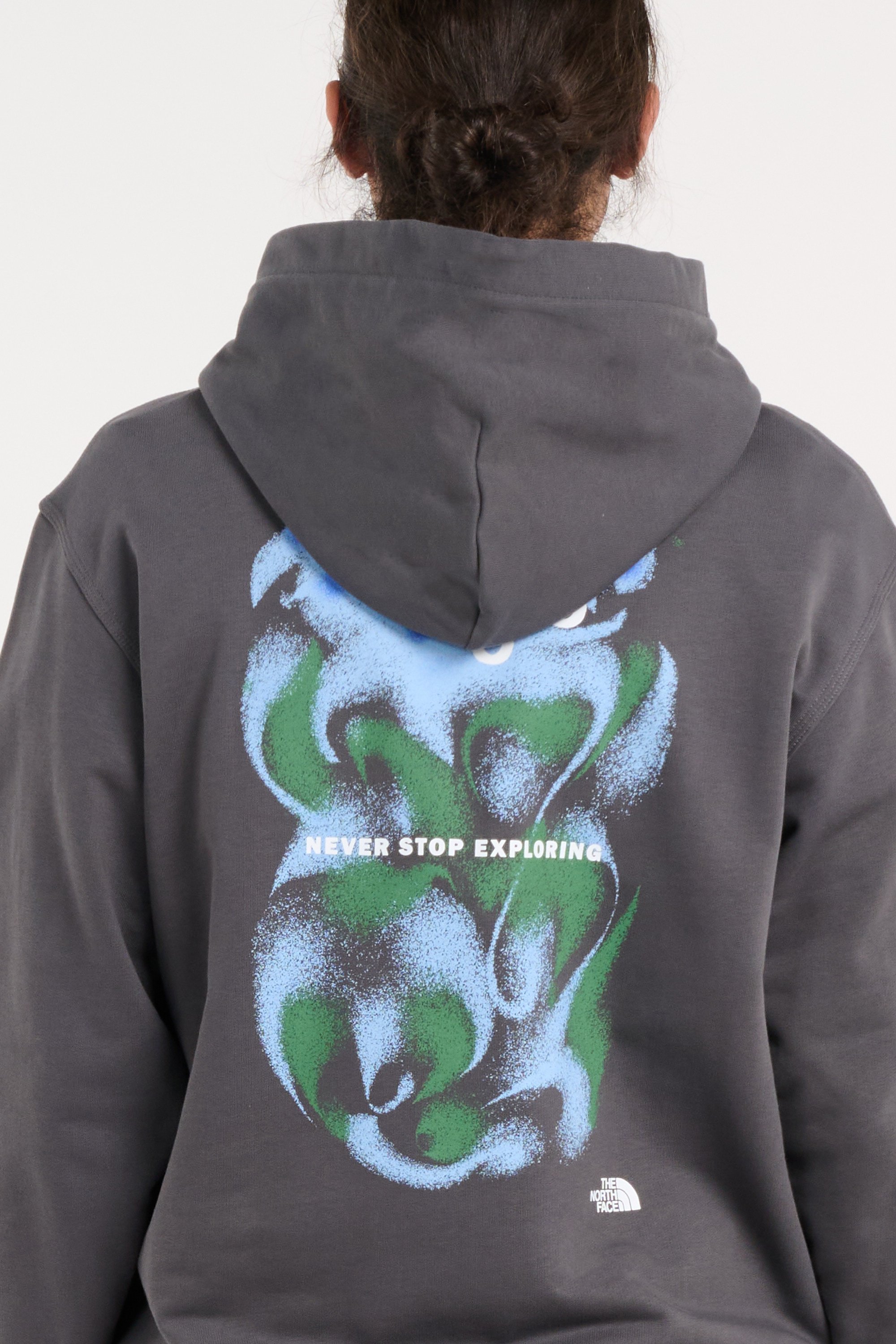 Hoodie | Grey THE NORTH FACE Men