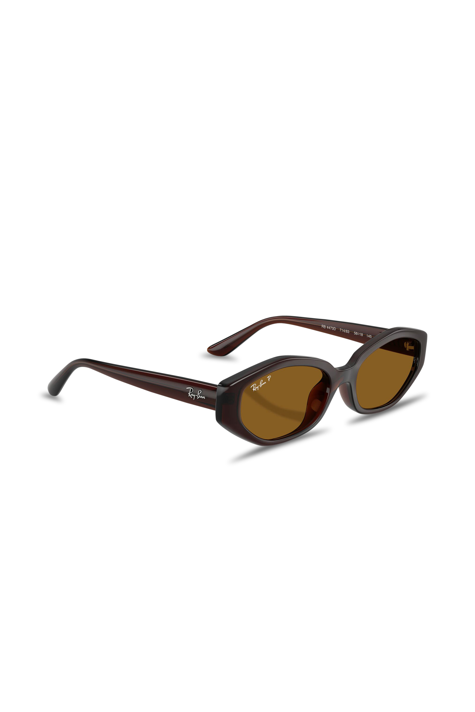 Lunettes de soleil | Marron RAY-BAN Homme
