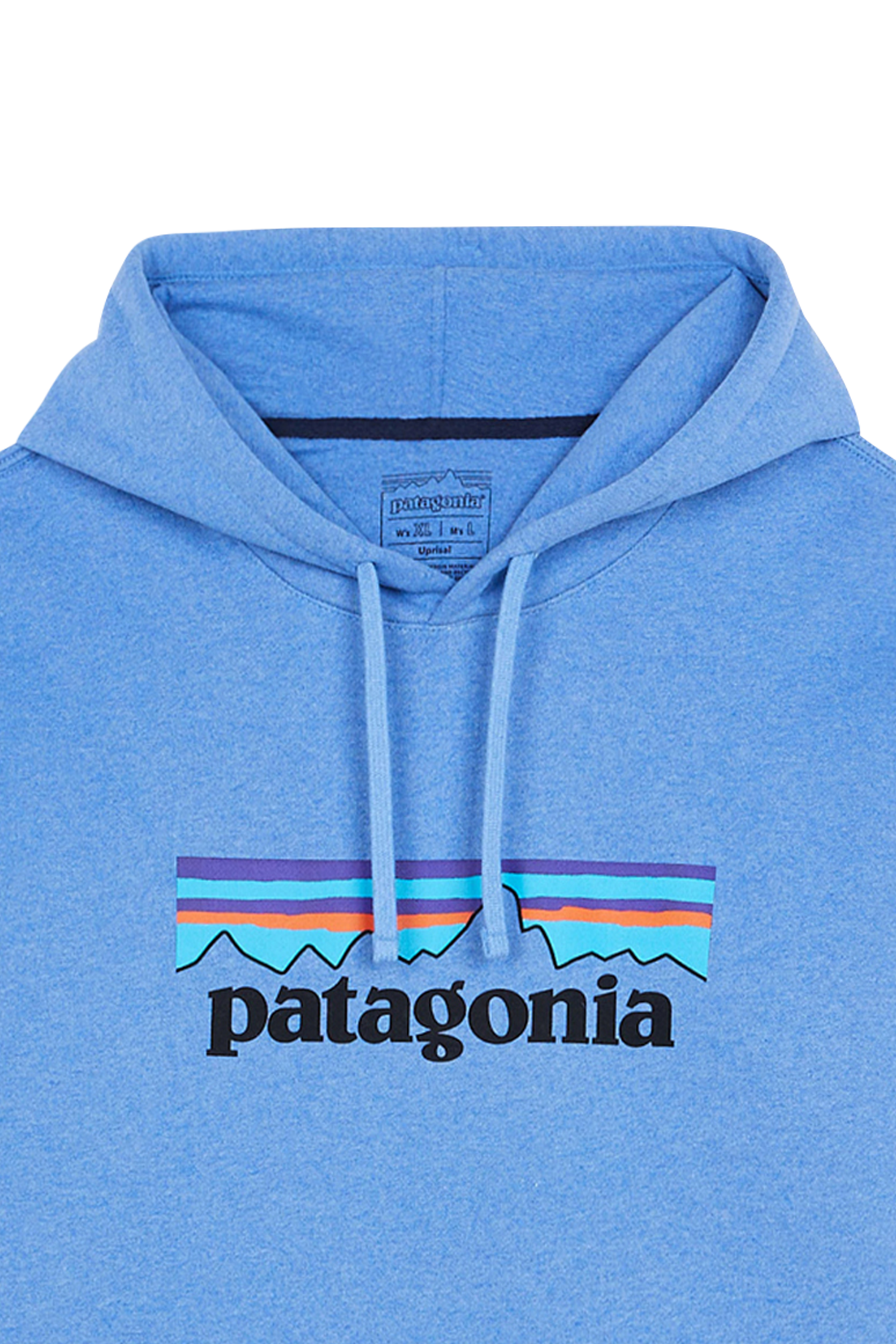 Hoodie PATAGONIA Bleu