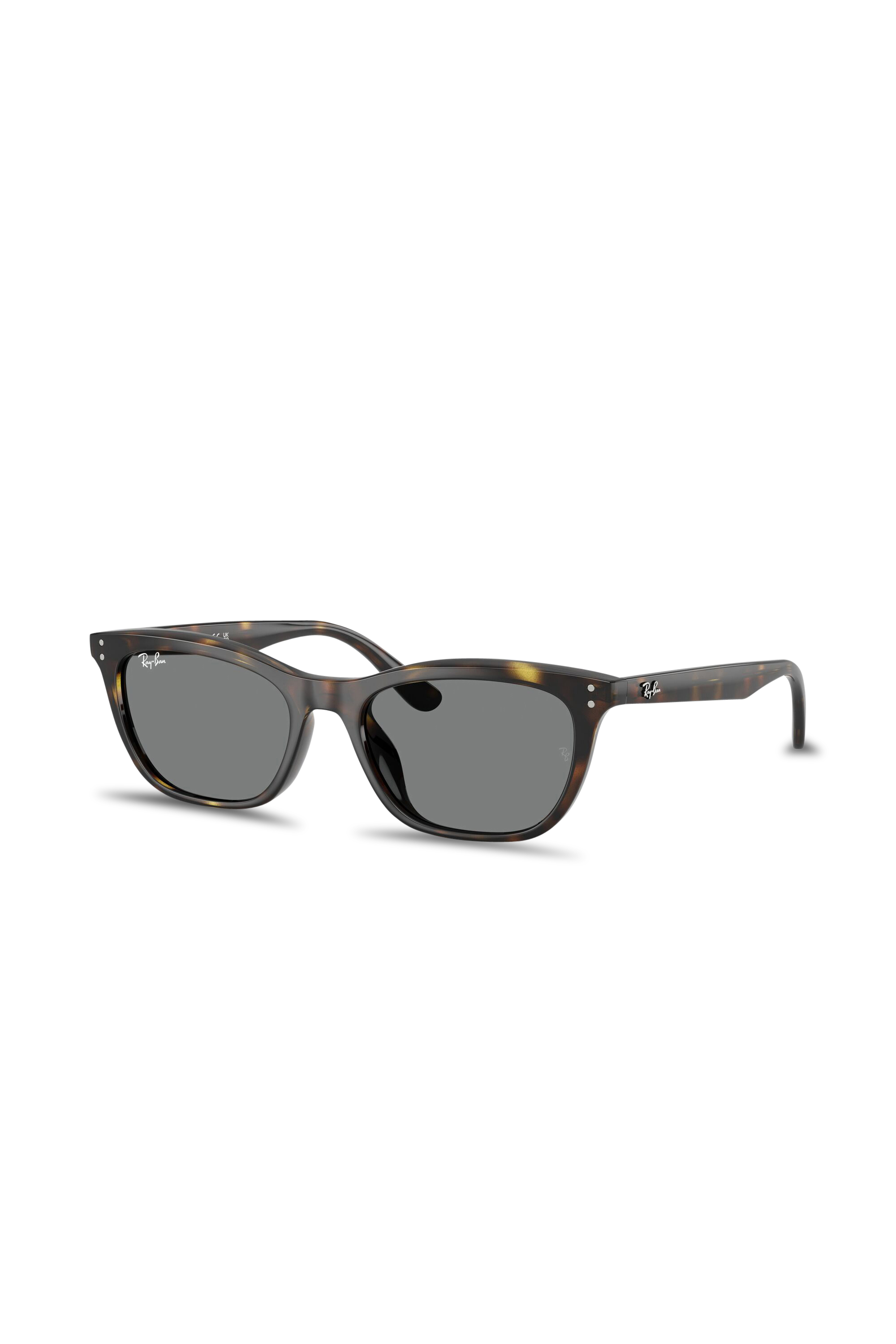 Sunglasses | Brown RAY-BAN Men