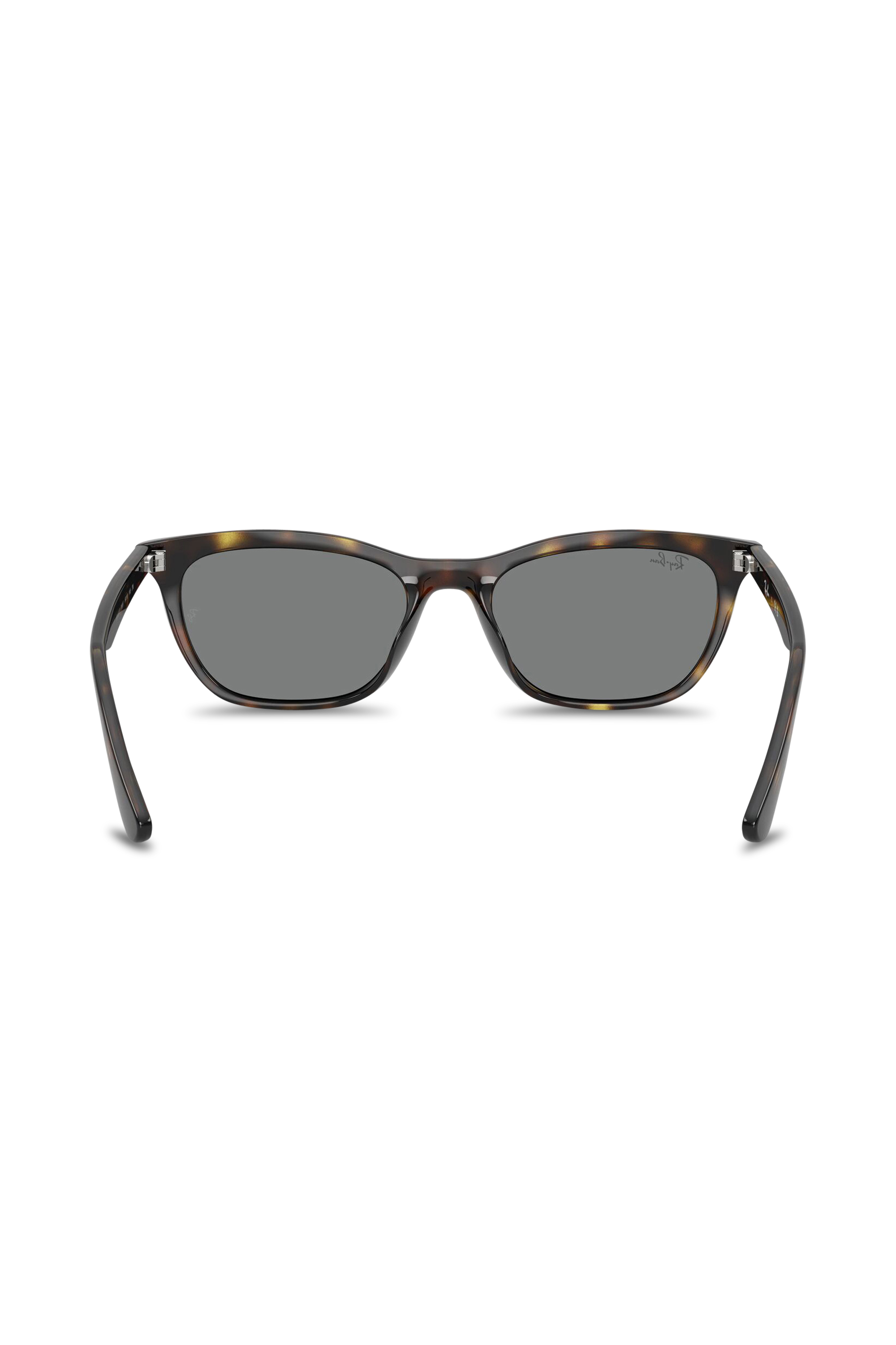 Sunglasses | Brown RAY-BAN Men