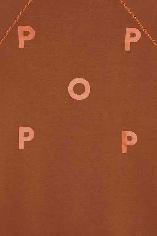POP TRADING COMPANY Hoodie Marron