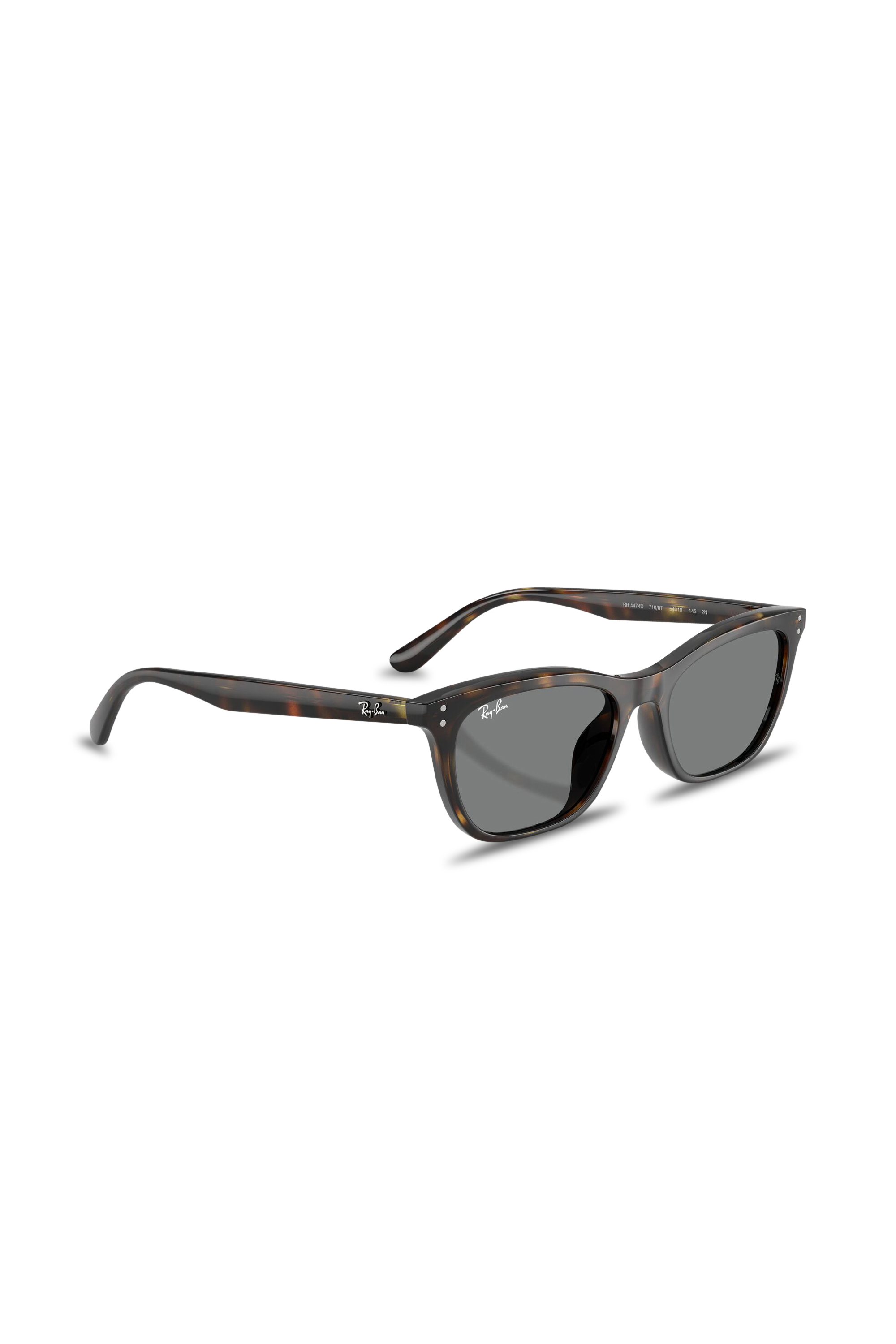 Sunglasses | Brown RAY-BAN Men