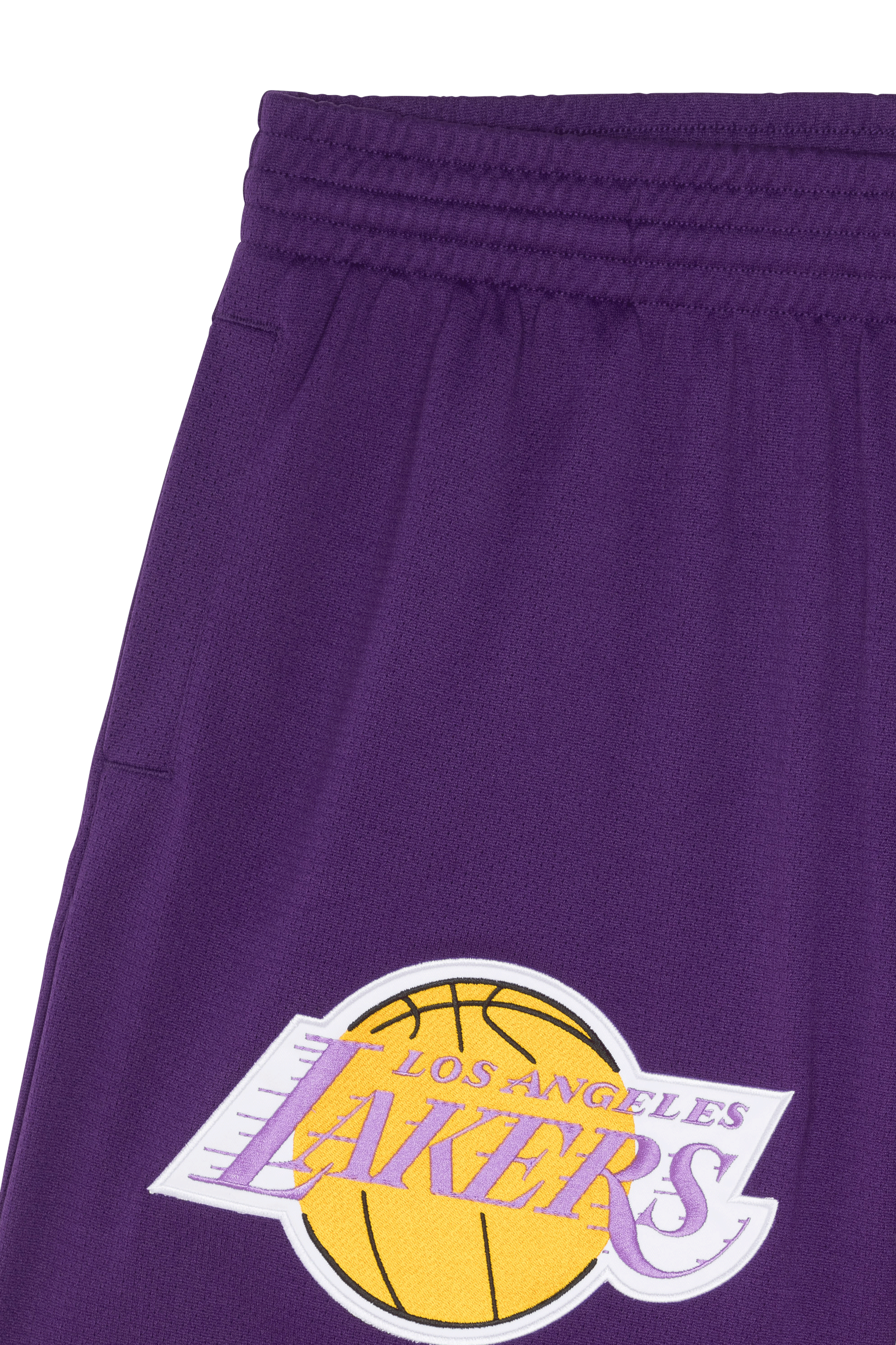 Shorts Purple