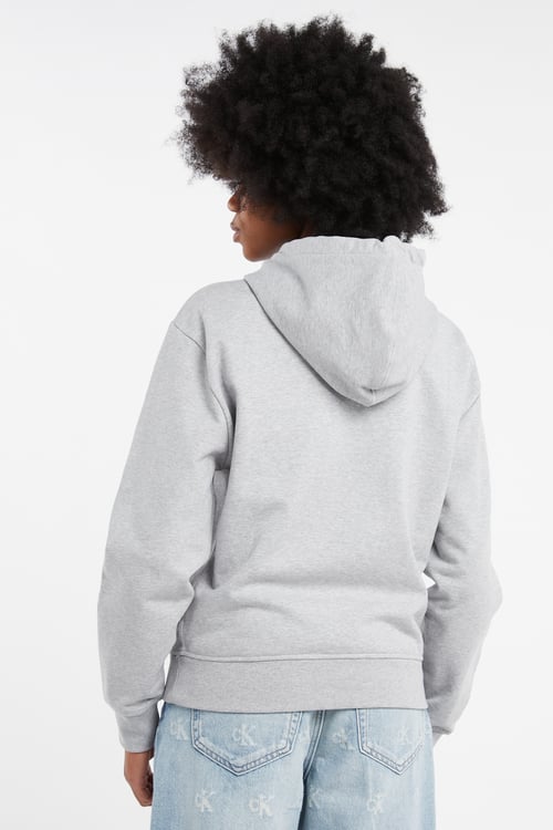 CALVIN KLEIN Hoodie Gris