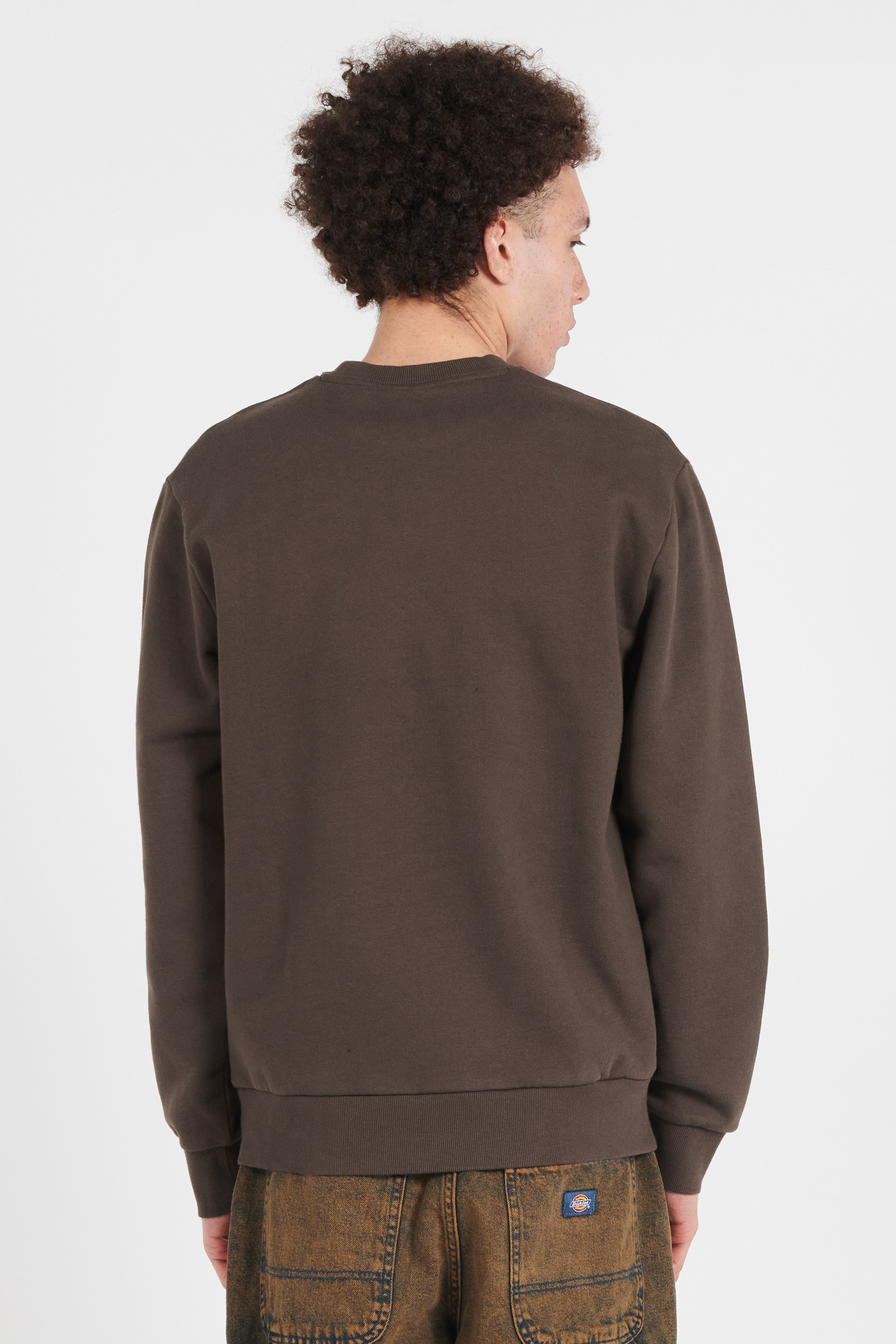 Sweatshirt | Marron CARHARTT WIP Homme