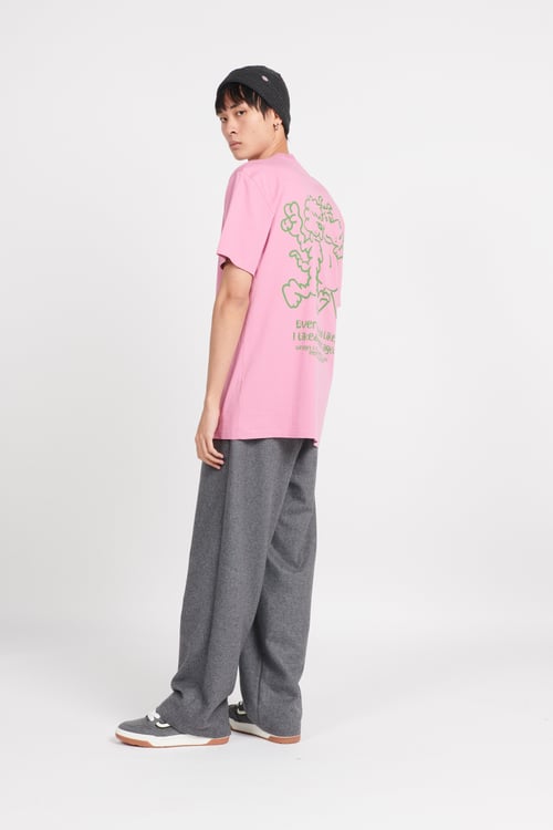 STAN RAY Pants Grey