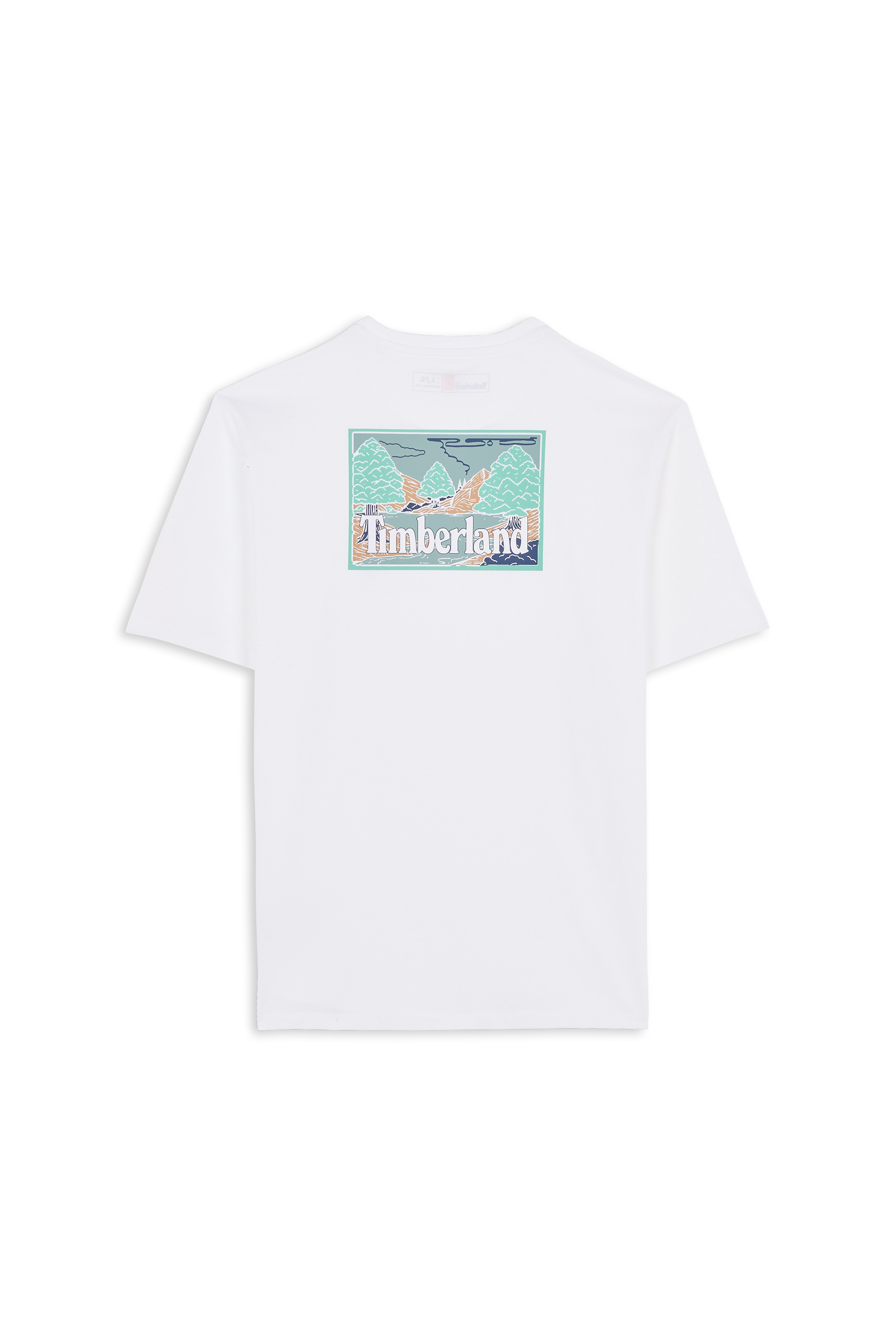 Regular-fit round-neck cotton T-shirt White