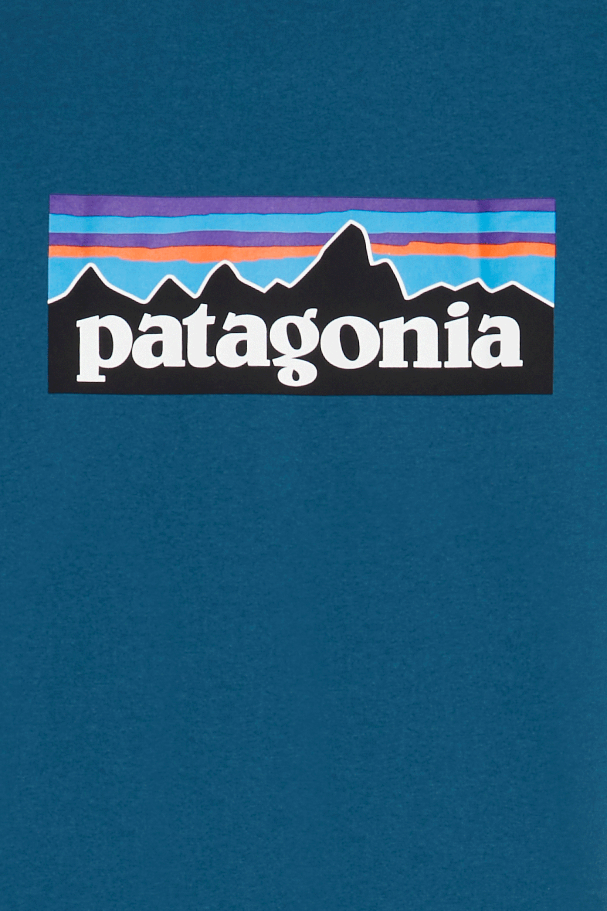 T-shirt | Blue PATAGONIA Men