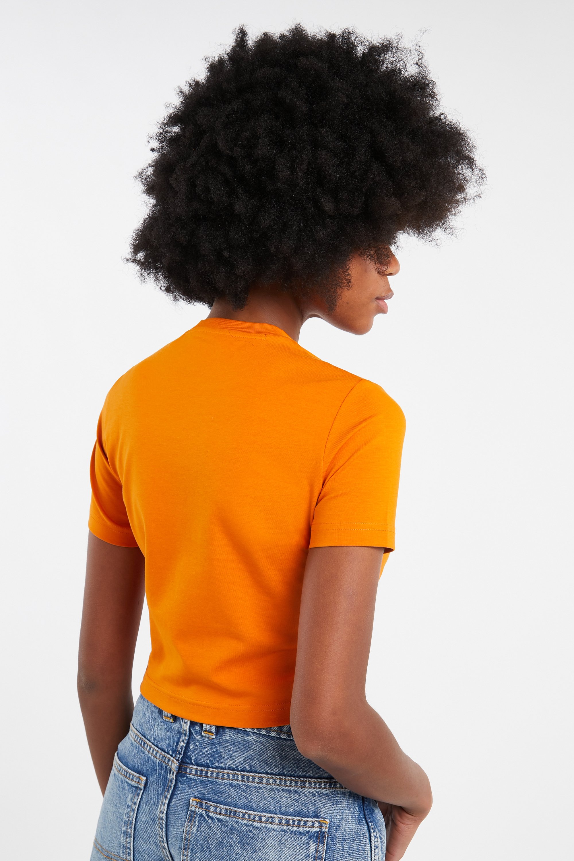 DICKIES T-shirt Orange