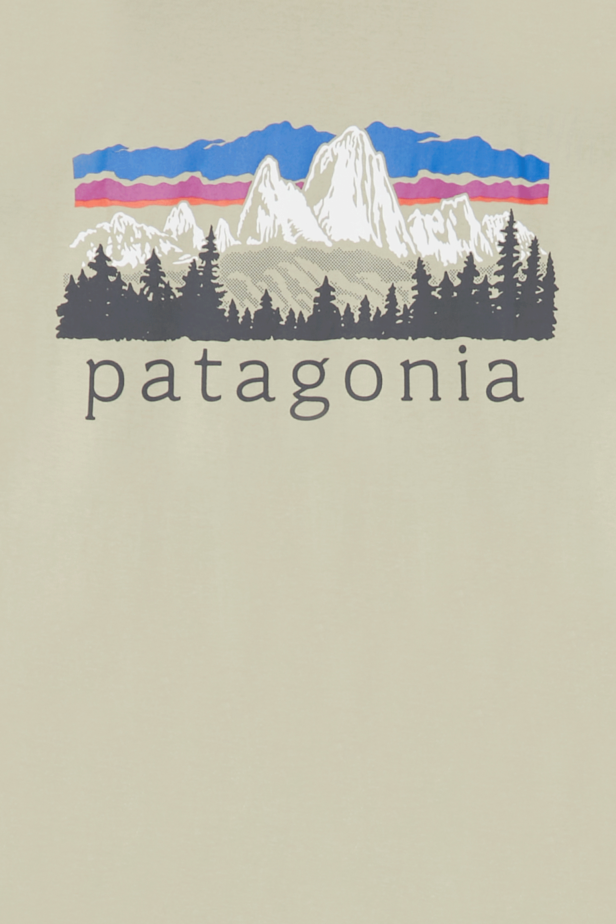 t-shirt | Beige PATAGONIA Men