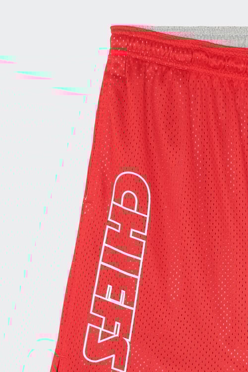 NIKE NFL Short Rouge